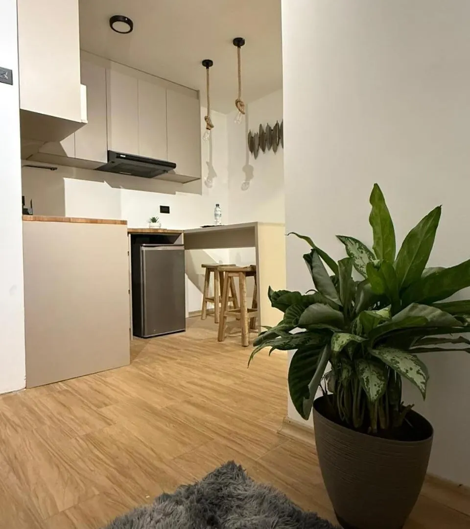 Stylish Scandinavian Loft 基多 0*,